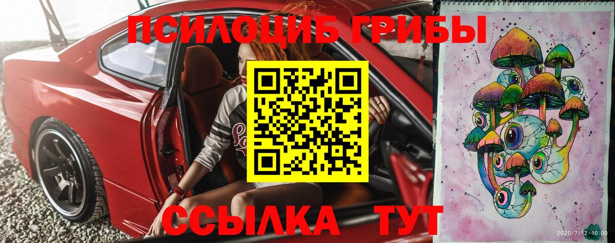 сколько стоит  Вход с VPN  Пятигорск  Галлюциногенные грибы Psilocybine cubensis 