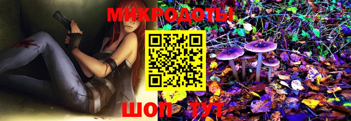 Псилоцибиновые грибы Psilocybine cubensis Пятигорск