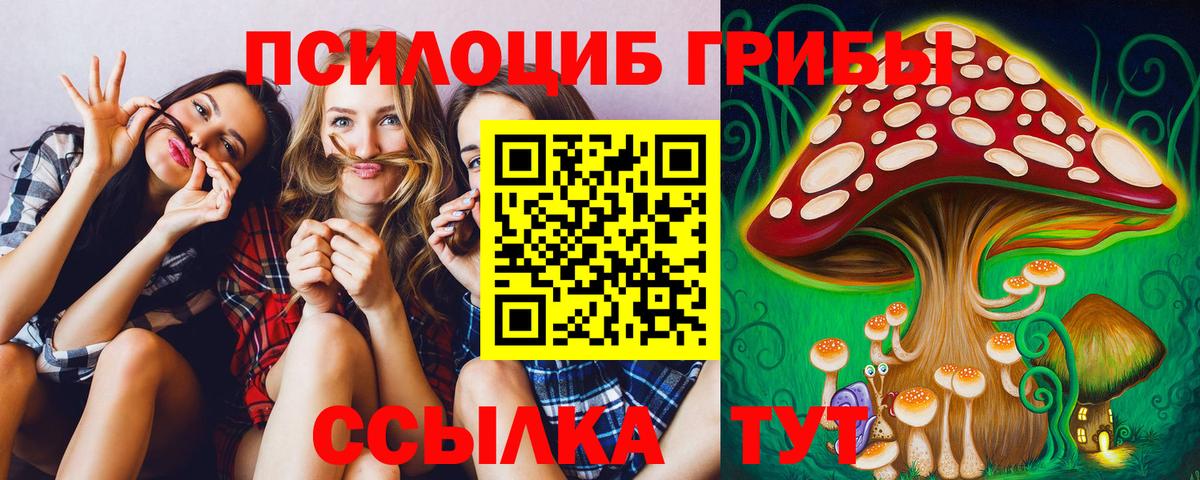 Псилоцибиновые грибы прущие грибы Пятигорск
