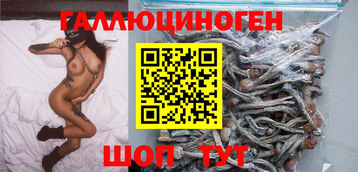 Галлюциногенные грибы Magic Shrooms  где купить наркоту  Пятигорск 