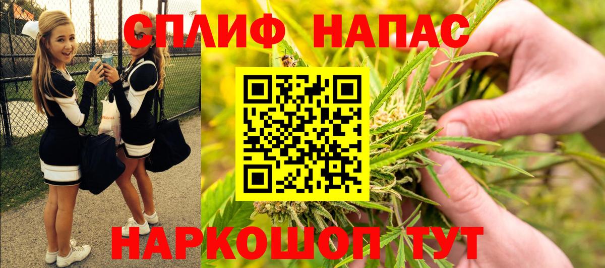 Конопля тримм Пятигорск